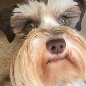 Meet your Posher, Lynette